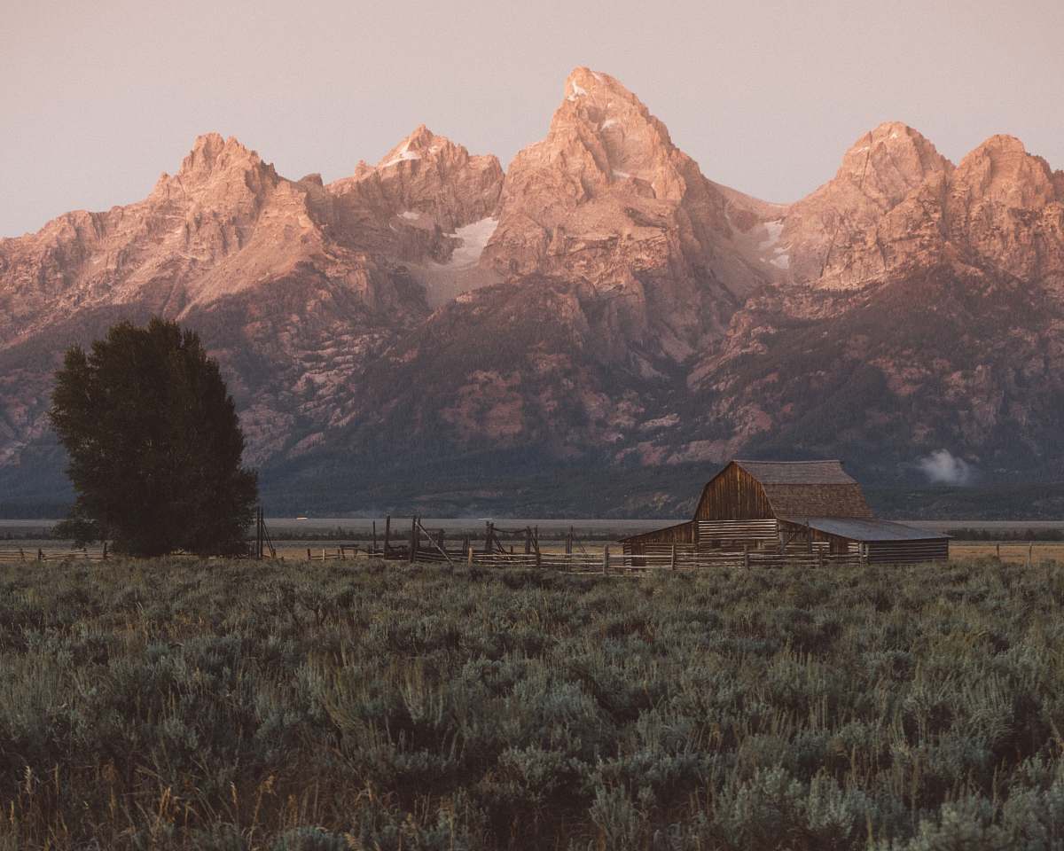 grand teton brown wooden barn near tall dress at daytime mountain range